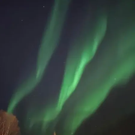 Hus I Naerheten Av Fjellheisen *