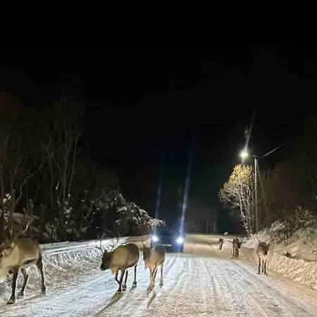 Hus I Naerheten Av Fjellheisen *