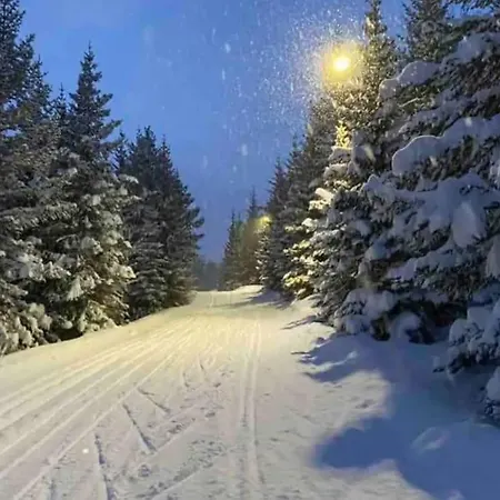 Hus I Naerheten Av Fjellheisen *